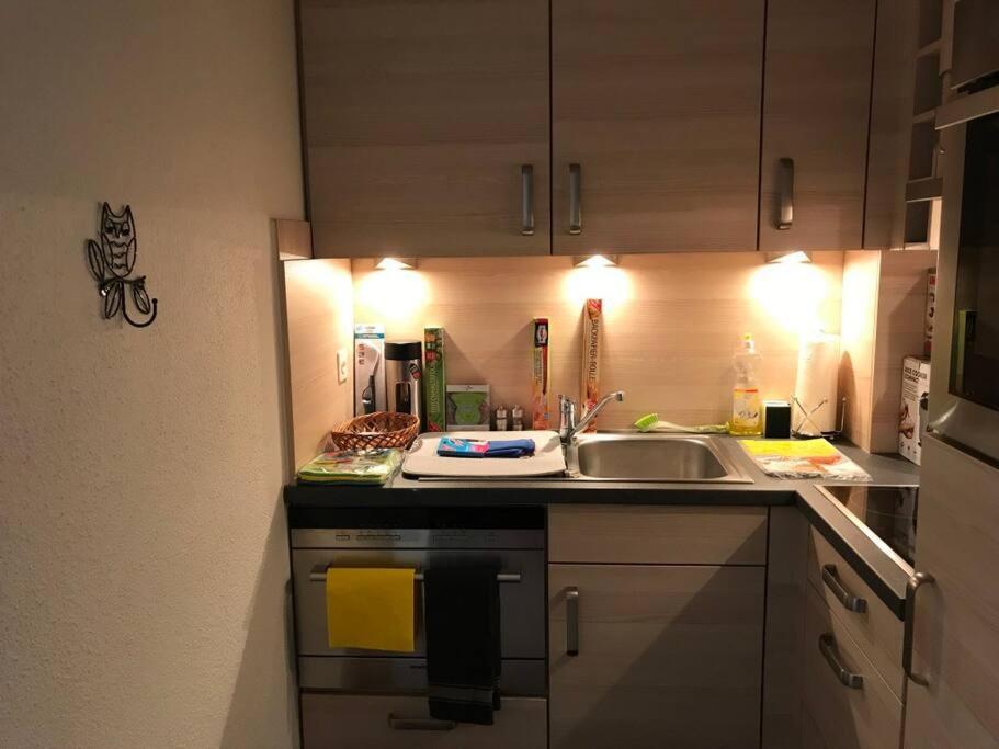 Beautiful 2.5 Room Apartment In Luzern Dış mekan fotoğraf